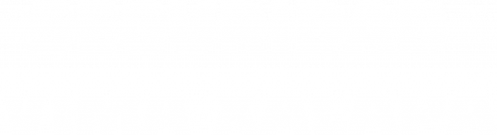 Seguridad VIMA Xalapa